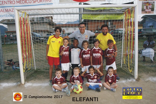 elefanti