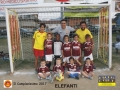 elefanti