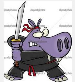 Samurai (1)
